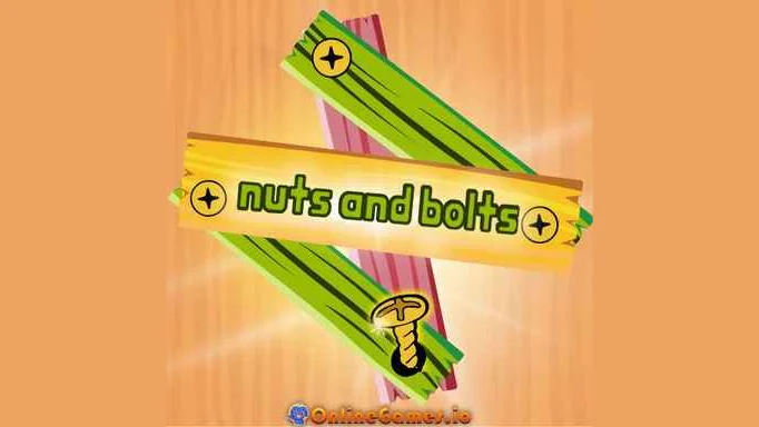 Nuts and Bolts Puzzle
