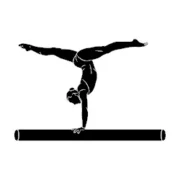 Categorie Behendigheid